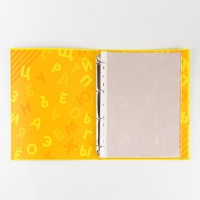 Папка школьная на кольцах &laquo;Портфолио дошкольника&raquo;, 14 листов-разделителей, 24,5 х 32 см.