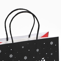 Пакет подарочный новогодний &laquo;Небольшой подарок&raquo;, 22 х 22 х 11 см , Новый год