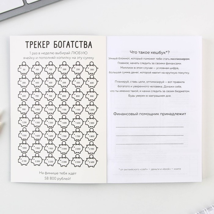 Умный блокнот CashBook А6, 68 листов &laquo;Советы енотика&raquo;