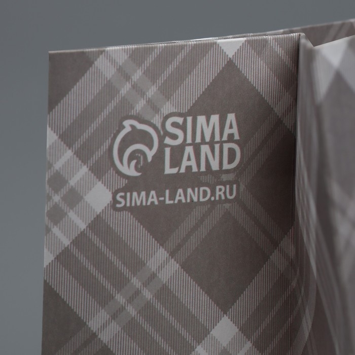 Пакет подарочный крафтовый с пластиковым окном, упаковка, &laquo;Мужской&raquo;, 31 х 26 х 10 см