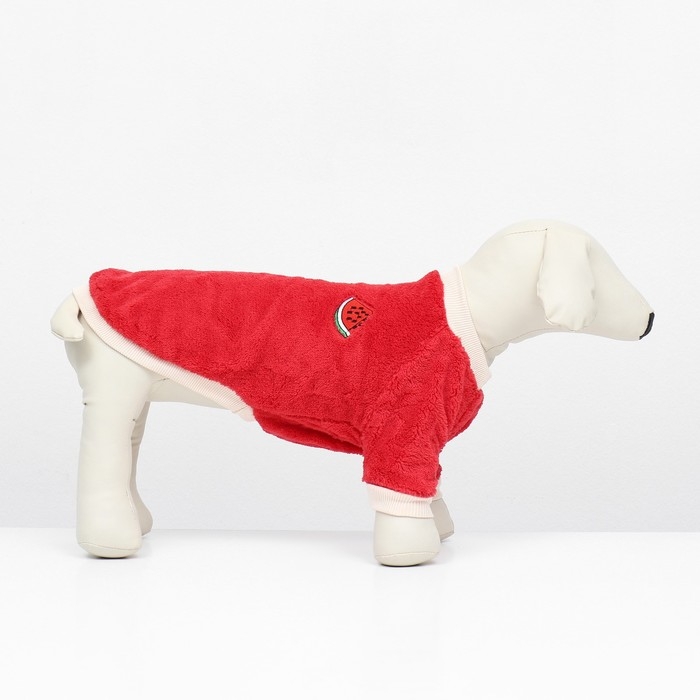 Свитер Свитер "Арбуз", велюр, размер XS (ДС 20, ОШ 21, ОГ 30 см), красный