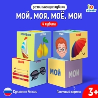Развивающие кубики &laquo;Мой, моя, моё, мои&raquo;, 4 элемента, 3+