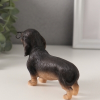 Сувенир полистоун "Такса в очках" 11,5х4х7,5 см Сувенир полистоун "Такса в очках" 11,5х4х7,5 см