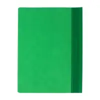 Папка-скоросшиватель Calligrata, А4, 120 мкм, зелёная, прозрачный верх
