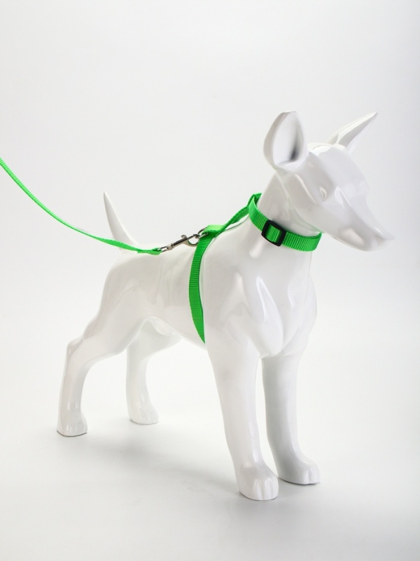 Комплект для кошек, ширина 1,5 см, ОШ 16,5-27 см, ОГ 21-35 см, поводок 120 см, зелёный