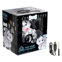 Робот собака &laquo;Дружок&raquo; ZHORYA, программируемый, на пульте управления, интерактивный: звук, свет, сенсорный, реагирует на голос, на аккумуляторе