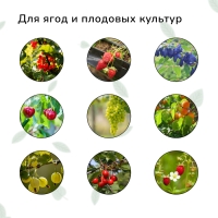 Сетка садовая, мягкая, 10 &times; 4 м, ячейка 15 &times; 15 мм, от птиц , Greengo