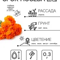 Семена цветов Бархатцы прямостоячие "Оранжевый принц", 0,3 г