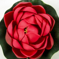 Декор &laquo;Кувшинка плавающая&raquo;, d=10 см, МИКС