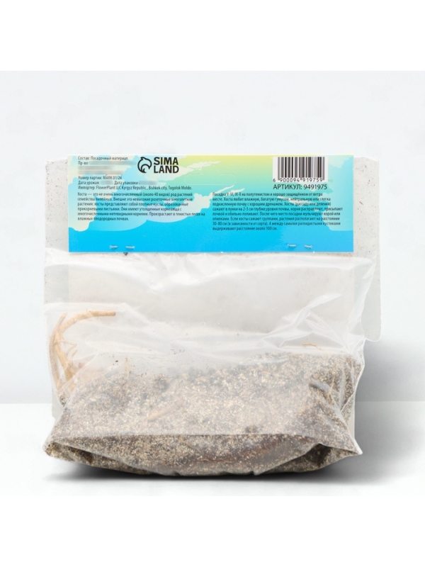 Хоста Buckshaw Blue, корневище в пакете с торфогрунтом, р-р I, размер M,1 шт.