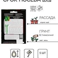 Семена Огурец "РМТ" F1 супербукетный тип, партенокарпический, 5 шт
