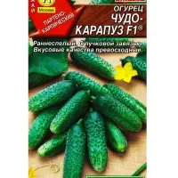 Семена Огурец "Чудо карапуз F1", 10 шт.