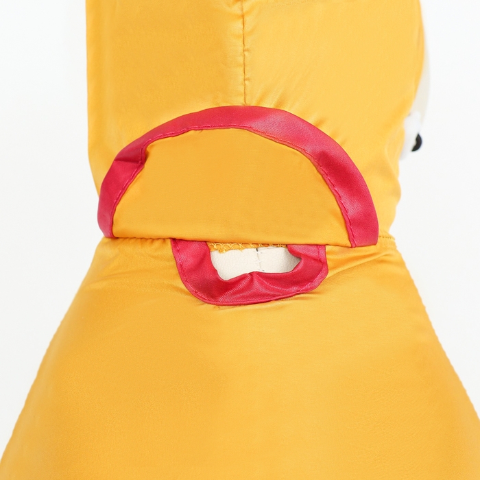 Комбинезон для собак, демисезонный, размер XS (ДС 17-19, Ог 27-29, ОШ 19-21 см), жёлтый Комбинезон для собак, демисезонный, размер XS (ДС 17-19, Ог 27-29, ОШ 19-21 см), жёлтый