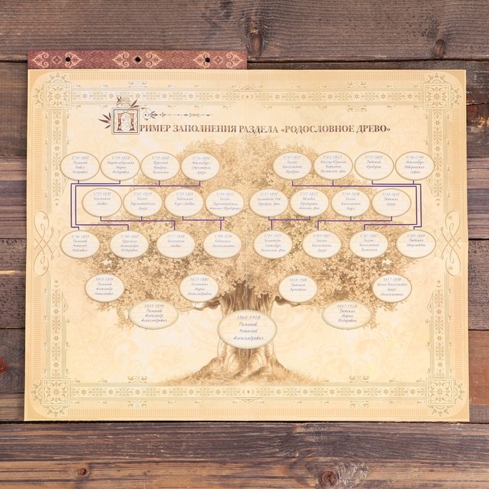 Родословная книга с рамкой под фото &laquo;Семейная&raquo;, 21,5 х 23,7 см.