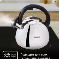 Чайник для плиты Duetto+ N4180110, 2.7 л, стальной