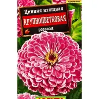 Семена цветов Цинния Крупноцветковая розовая , Ц/П,0,3 г