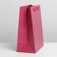Пакет подарочный ламинированный, упаковка, &laquo;Фуксия&raquo;, MS 18 х 23 х 10 см