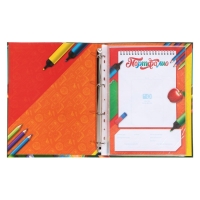 Папка школьная на кольцах &laquo;Портфолио школьника&raquo;, 6 листов-разделителей, 24,5 х 32 см.