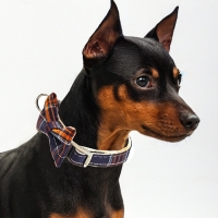 Ошейник "Джентельмен в клеточку", 40 х 1,5 см, коричневый