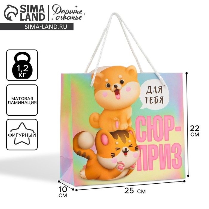 Пакет подарочный, упаковка, &laquo;Сюрприз&raquo;, 25 х 26 х 10 см