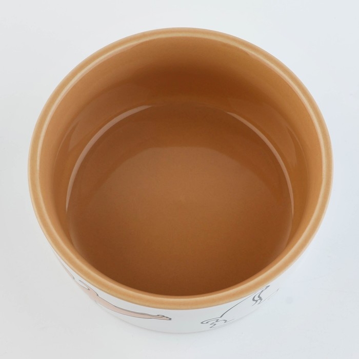 Миска керамическая &laquo;Фитнес песики&raquo;, 200 мл, для собак