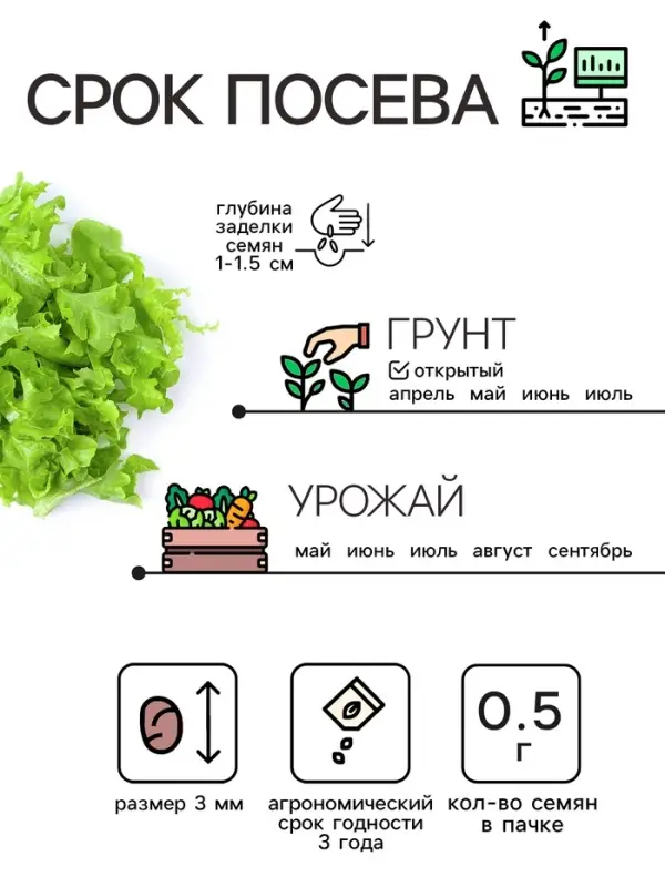 Семена Салат листовой "Азарт",0,5 г