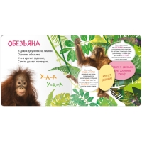 Книжки с окошками «Кто где живёт?» Книжки с окошками «Кто где живёт?»