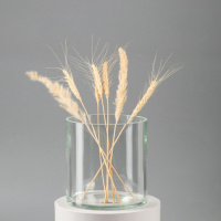 Ваза "Трубка" 15х14,6см, 2л Ваза "Трубка" 15х14,6см, 2л