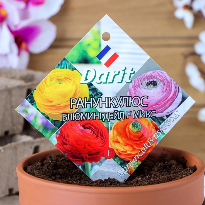 Семена цветов Ранункулюс Семена цветов Ранункулюс "Блюмингдейл", 5 шт.