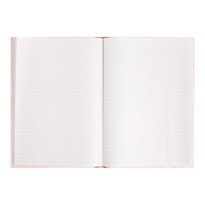 Книга учета, 96 листов, обложка картон 7Б, блок ГАЗЕТНЫЙ, линия, имитация КРАФТА