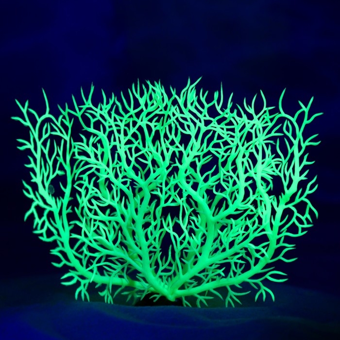 Растение искусственное аквариумное, светящееся, 15 см, зелёное Растение искусственное аквариумное, светящееся, 15 см, зелёное
