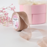 Лента капроновая, 40 мм, 20 &plusmn; 1 м, цвет бежевый №160