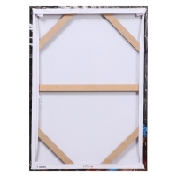 Картина на холсте "Миджиси-орлица", 50*70 см Картина на холсте "Миджиси-орлица", 50*70 см