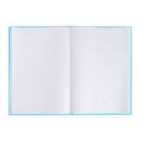 Книга учета, 96 листов, обложка картон 7БЦ, блок ГАЗЕТНЫЙ, клетка, цвет синий