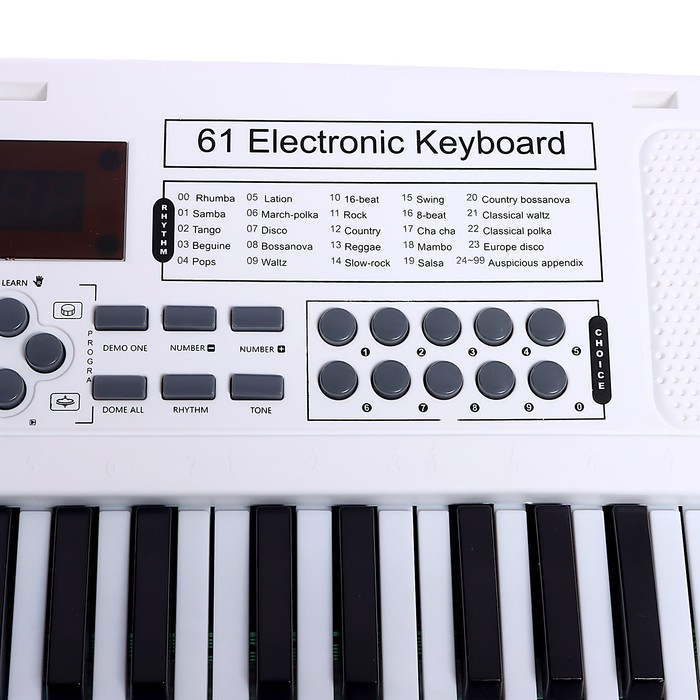 Синтезатор &laquo;Музыкальный мир&raquo;, 61 клавиша, с микрофоном и адаптером