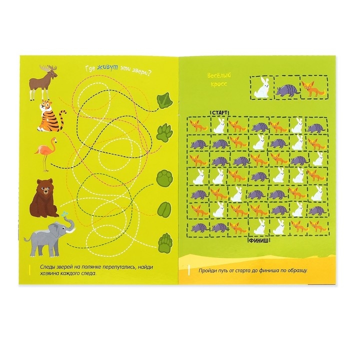 Многоразовая книжка с маркером &laquo;Лабиринты и путаницы&raquo;, 12 стр.