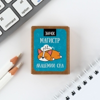 Значок в коробочке «Магистр сна» 5 х 4 см Значок в коробочке «Магистр сна» 5 х 4 см