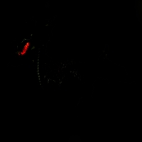 Динозавр «Дракон», световые и звуковые эффекты, работает от батареек Динозавр «Дракон», световые и звуковые эффекты, работает от батареек