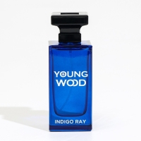 Туалетная вода мужская Young Wood "Indigo Ray", 100 мл Туалетная вода мужская Young Wood "Indigo Ray", 100 мл