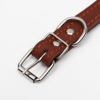 Ошейник кожаный на синтепоне, безразмерный, 45 х 2 см, ОШ 18-39 см, коричневый Ошейник кожаный на синтепоне, безразмерный, 45 х 2 см, ОШ 18-39 см, коричневый