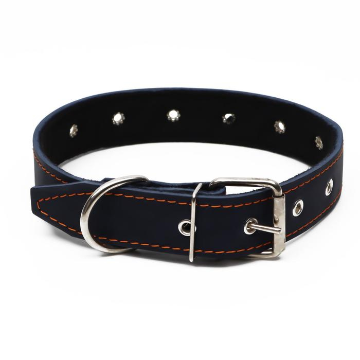 Ошейник кожаный на синтепоне, безразмерный, 71 х 3,5 см, ОШ 29-62 см, синий Ошейник кожаный на синтепоне, безразмерный, 71 х 3,5 см, ОШ 29-62 см, синий