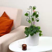 Шпалера, 44 &times; 18 &times; 0.3 см, металл, зелёная, &laquo;Бабочка&raquo;