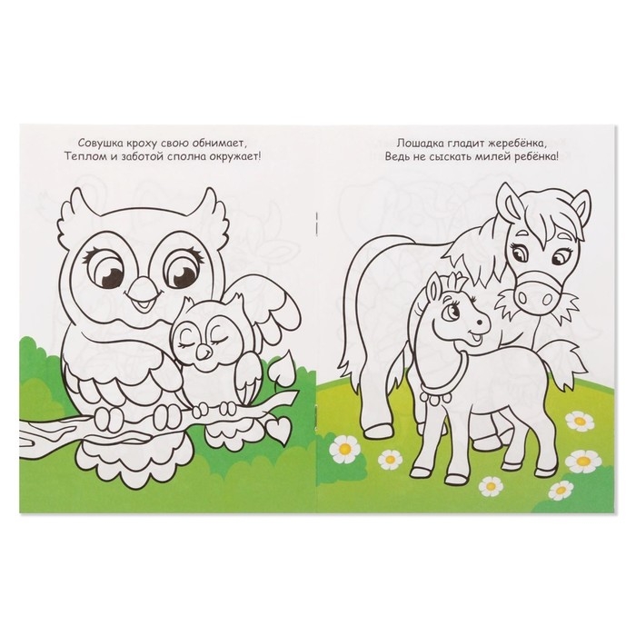 Раскраски &laquo;Для девочек&raquo;, набор 8 шт. по 12 стр.