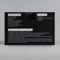 Умная гирлянда &laquo;Бахрома&raquo; 2 &times; 0.4 м роса, IP20, серебристая нить, 99 LED, пульт ДУ, приложение, свечение RGB, USB