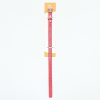 Ошейник рифленый с 2 рядами клепок, 33 х 1,2 см, ОШ 23-29, красный Ошейник рифленый с 2 рядами клепок, 33 х 1,2 см, ОШ 23-29, красный