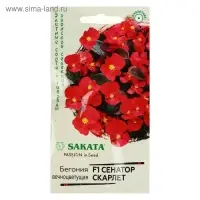 Семена цветов Бегония "Сенатор Скарлет", ц/п,  F1,  вечноцветущая, серия Элитная клумба 4 шт