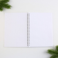 Новый год. Ежедневник с тиснением «Счастья в Новом Году», А5, 60 листов Новый год. Ежедневник с тиснением «Счастья в Новом Году», А5, 60 листов