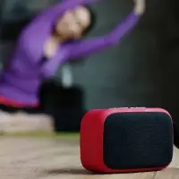 Беспроводная колонка Borsetta, светло-серая