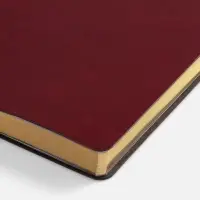 Ежедневник Nebraska Flex, недатированный, бордовый с золотистым