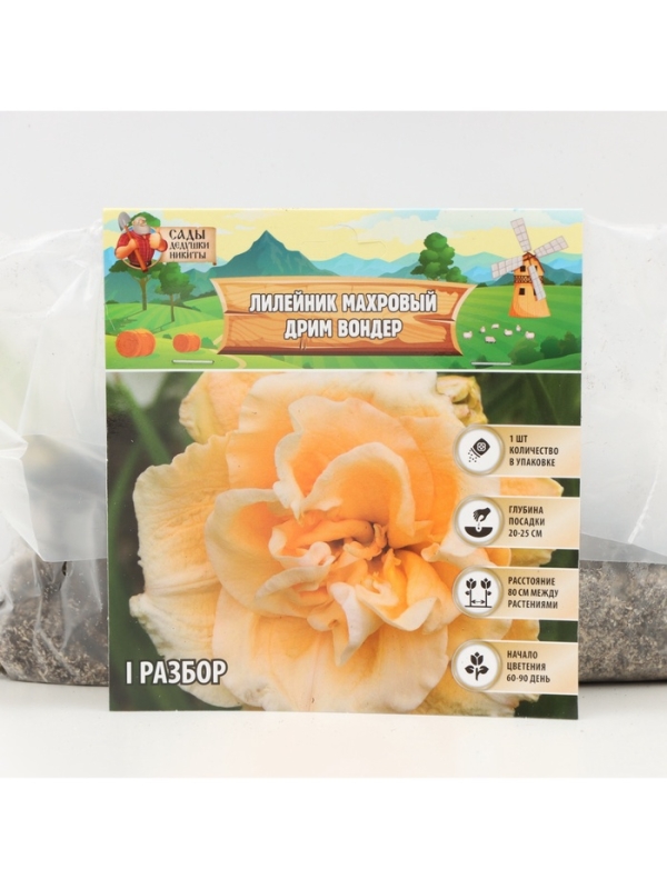 Лилейник Double Creamy Wonder, многолетник, корневище в пакете с торфогрунтом, р-р I, 1 шт.